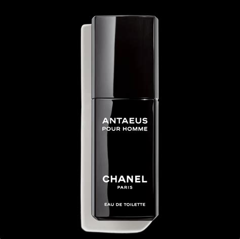 chanel antaeus edt 100 ml preisvergleich|chanel antaeus price.